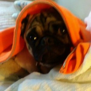 Meet your Posher, Margaret